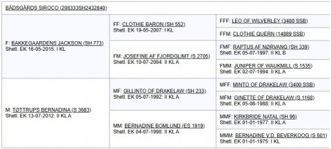 Afstamning Bådsgårds Siroco