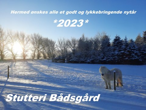 Godt nytår 2023