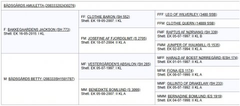 Afstamning Bådsgårds Amuletta