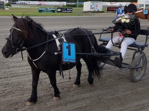 Bådsgårds Bacardi vandt ponyløbet 28/8-2017 på Skive Trav