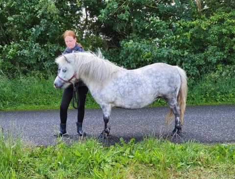 Bådsgårds Bella og Caroline