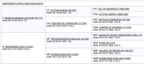 Afstamning Bådsgårds Lupina