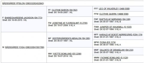 Afstamning Bådsgårds Ypsilon