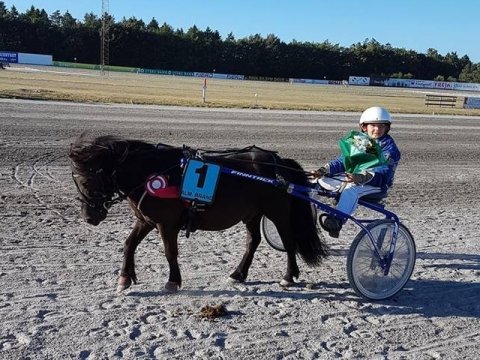 Bådsgårds Bacardi vinder ponyløb